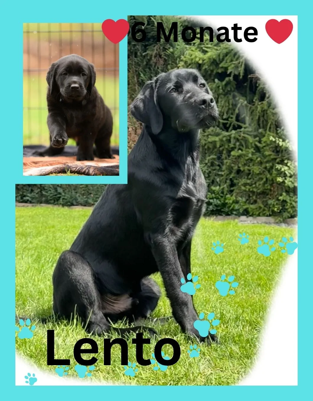 6 Monate – Foto