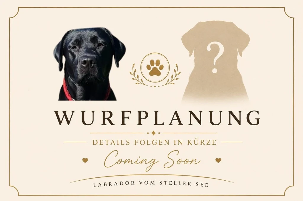Wurfplanung Naila